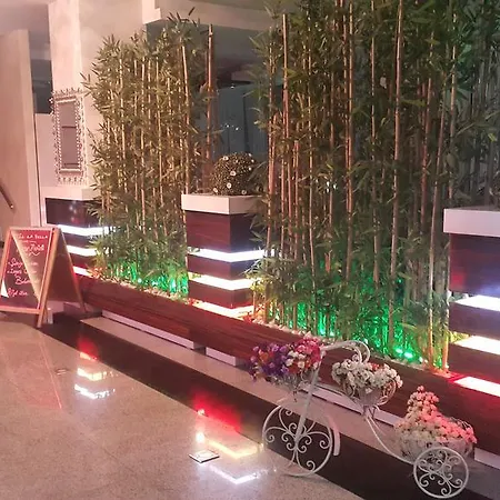 La Bella 3* Soma